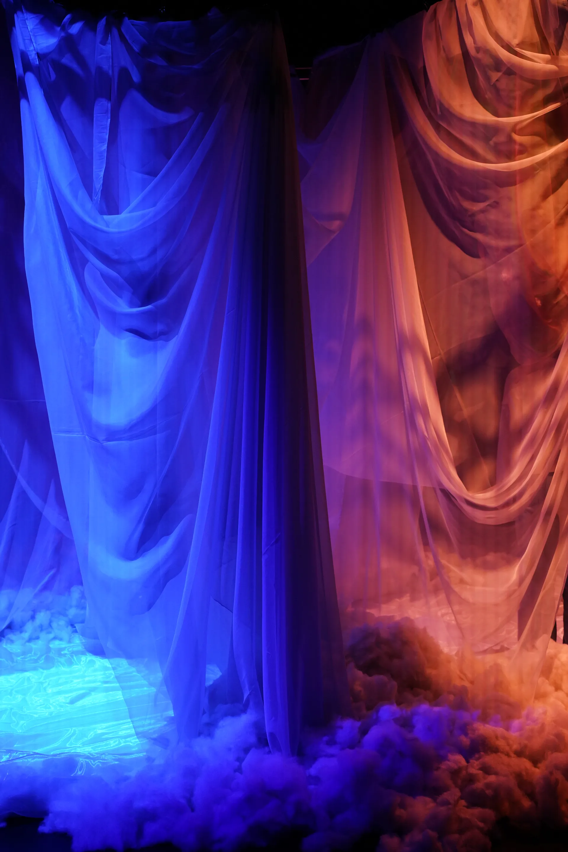 The Warm — image 3