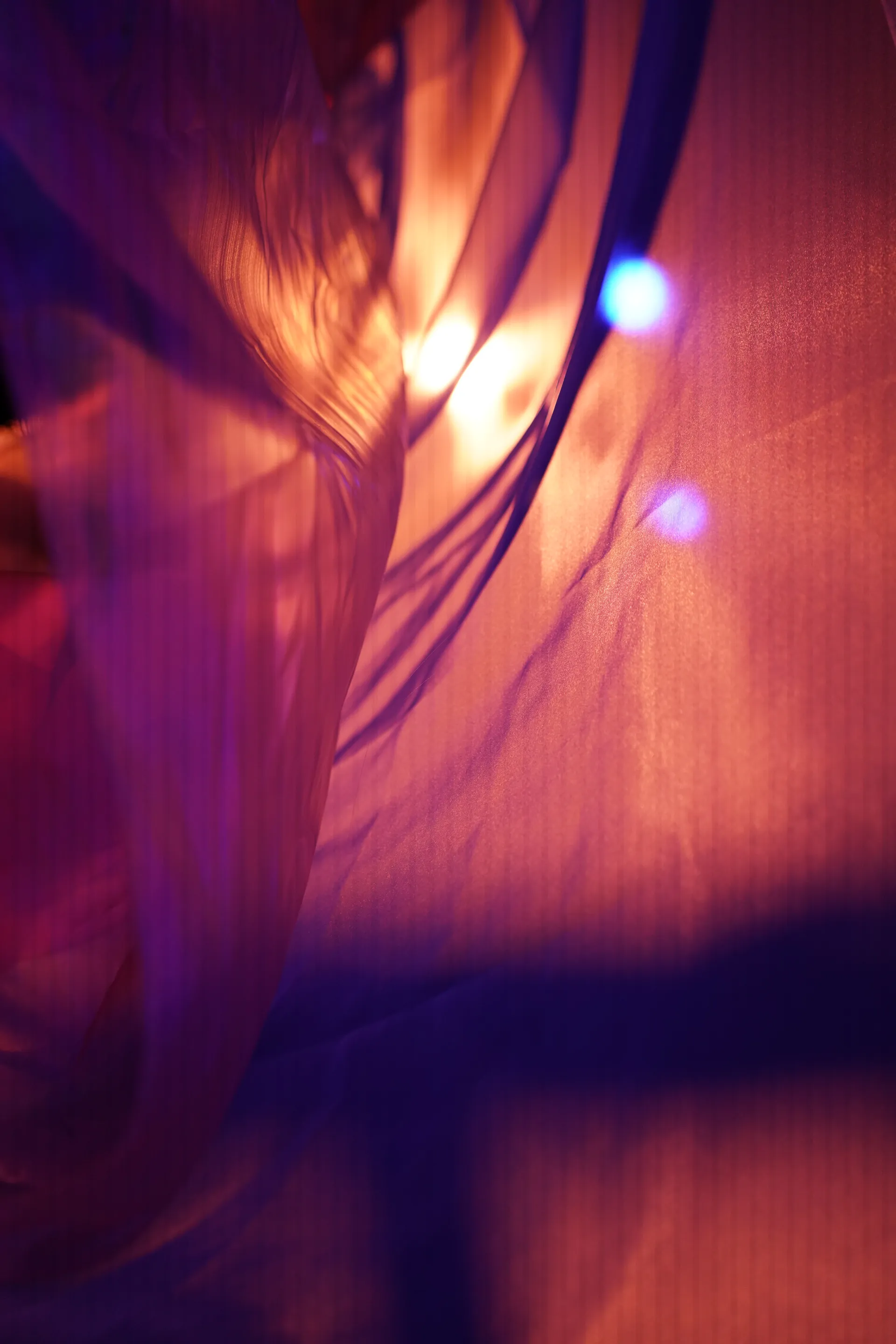 The Dream — image 6
