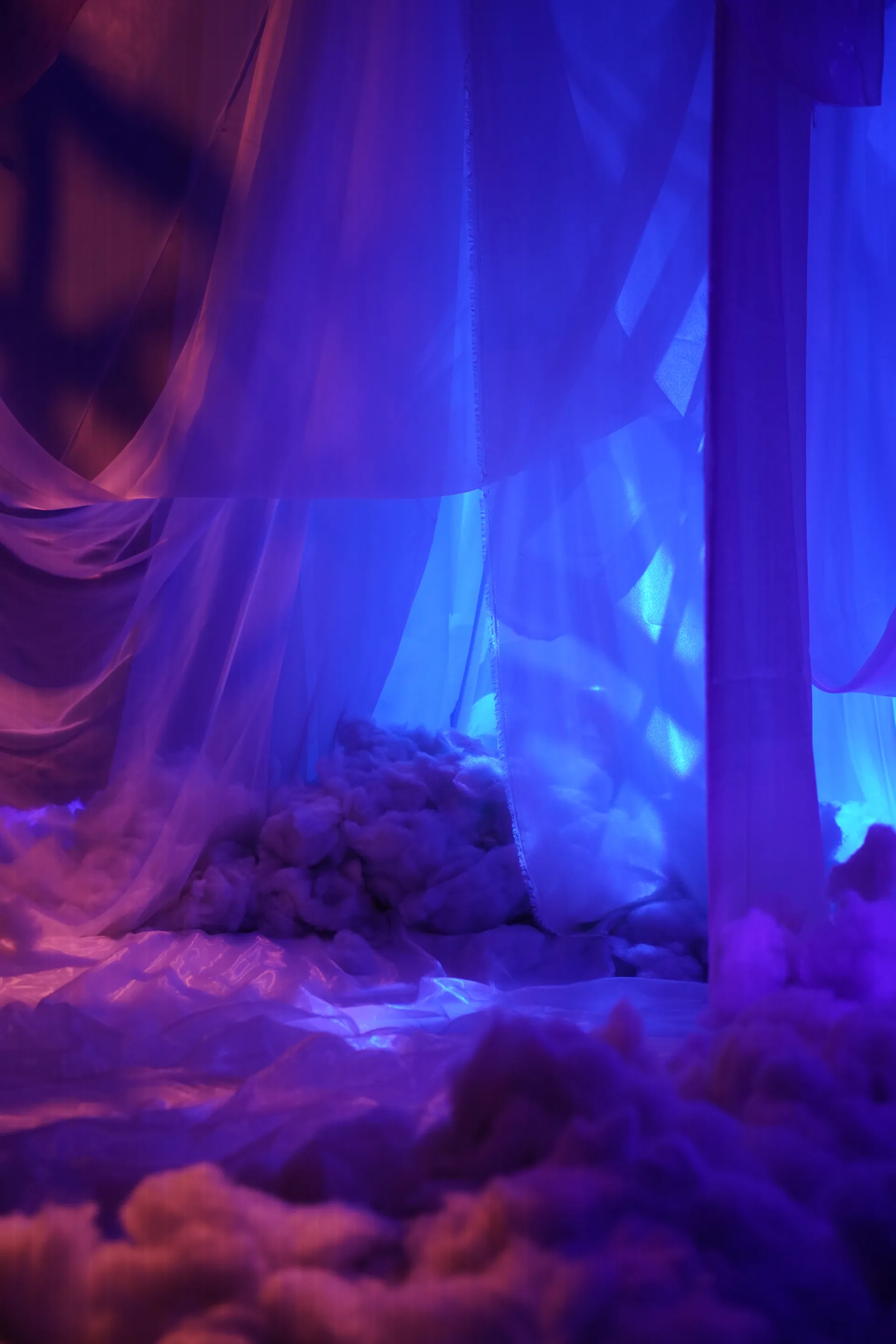 The Dream — image 7
