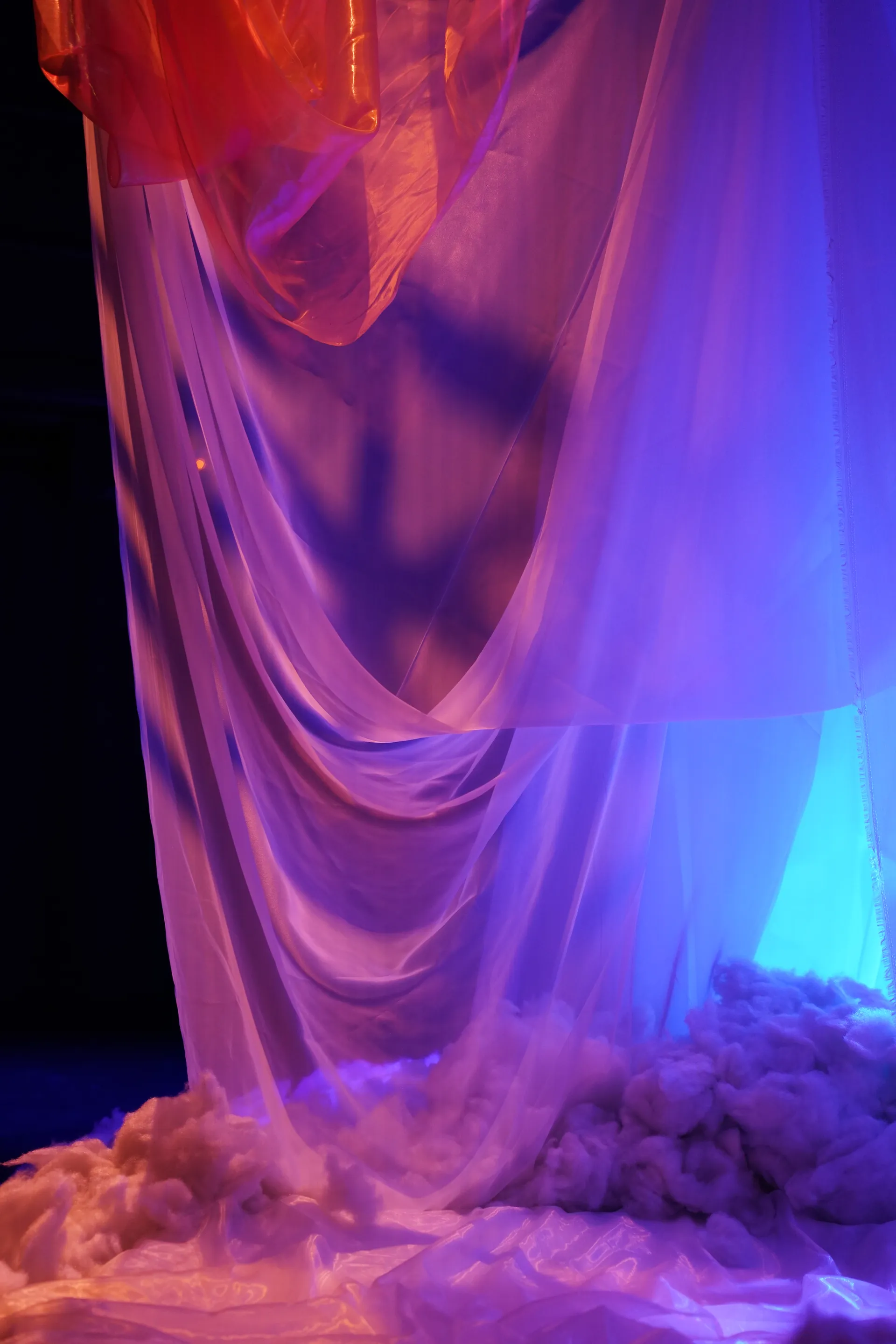 The Dream — image 8