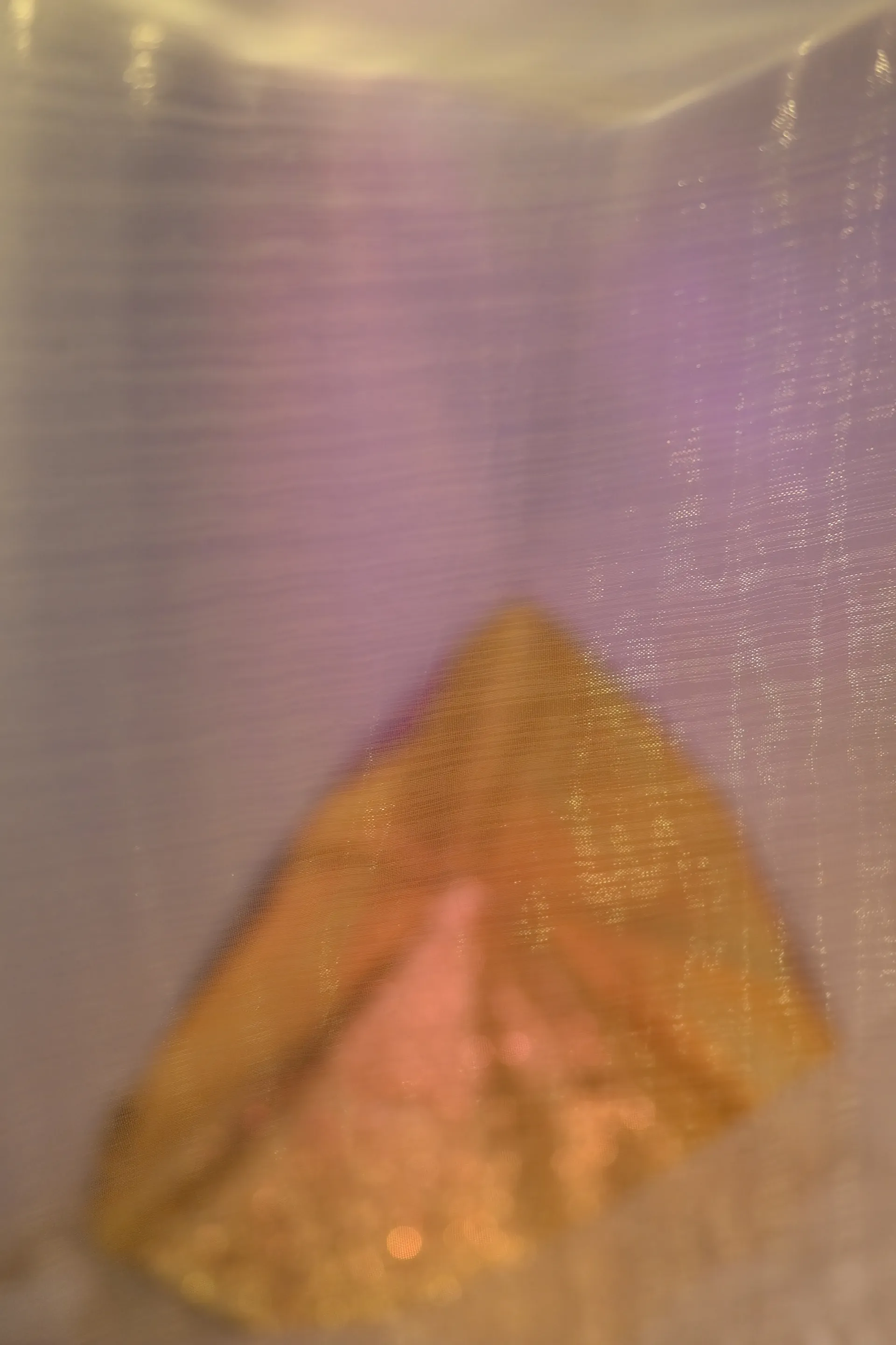 A golden folded form appears out of focus behind a translucent woven veil